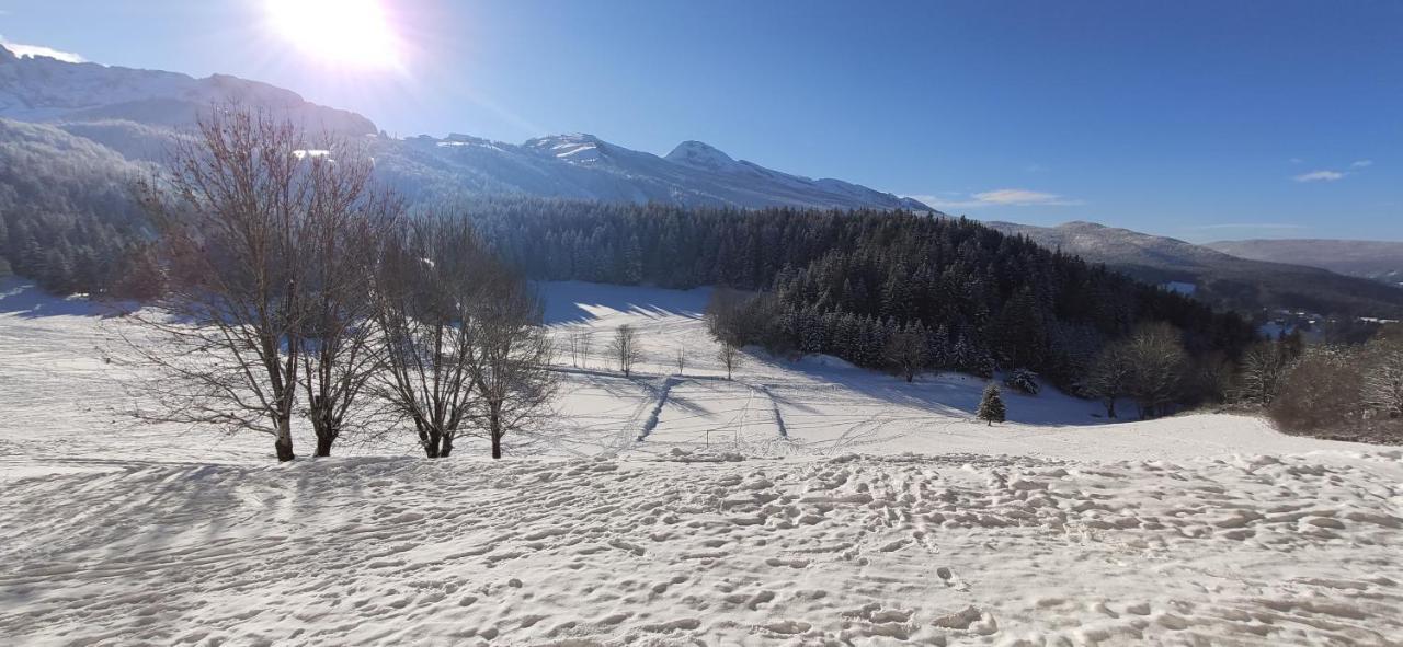 Studio Cosy Au Pied Des Pistes Villard-De-Lans 4 Pers מראה חיצוני תמונה